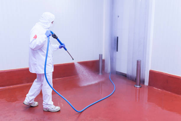 Best Sidewalk and Walkway Cleaning  in Fort Hall, ID