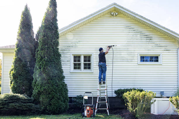 Best Roof Washing  in Fort Hall, ID